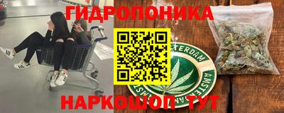 2c-b Партизанск