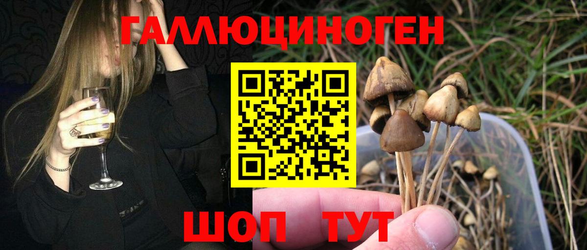 Псилоцибиновые грибы Cubensis  Вход с VPN  Ржев 